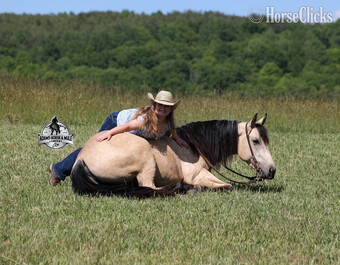 "Mike's Poco Whiz-www,AdamsHorseandMuleCo" Buckskin Gelding Quarter Horse