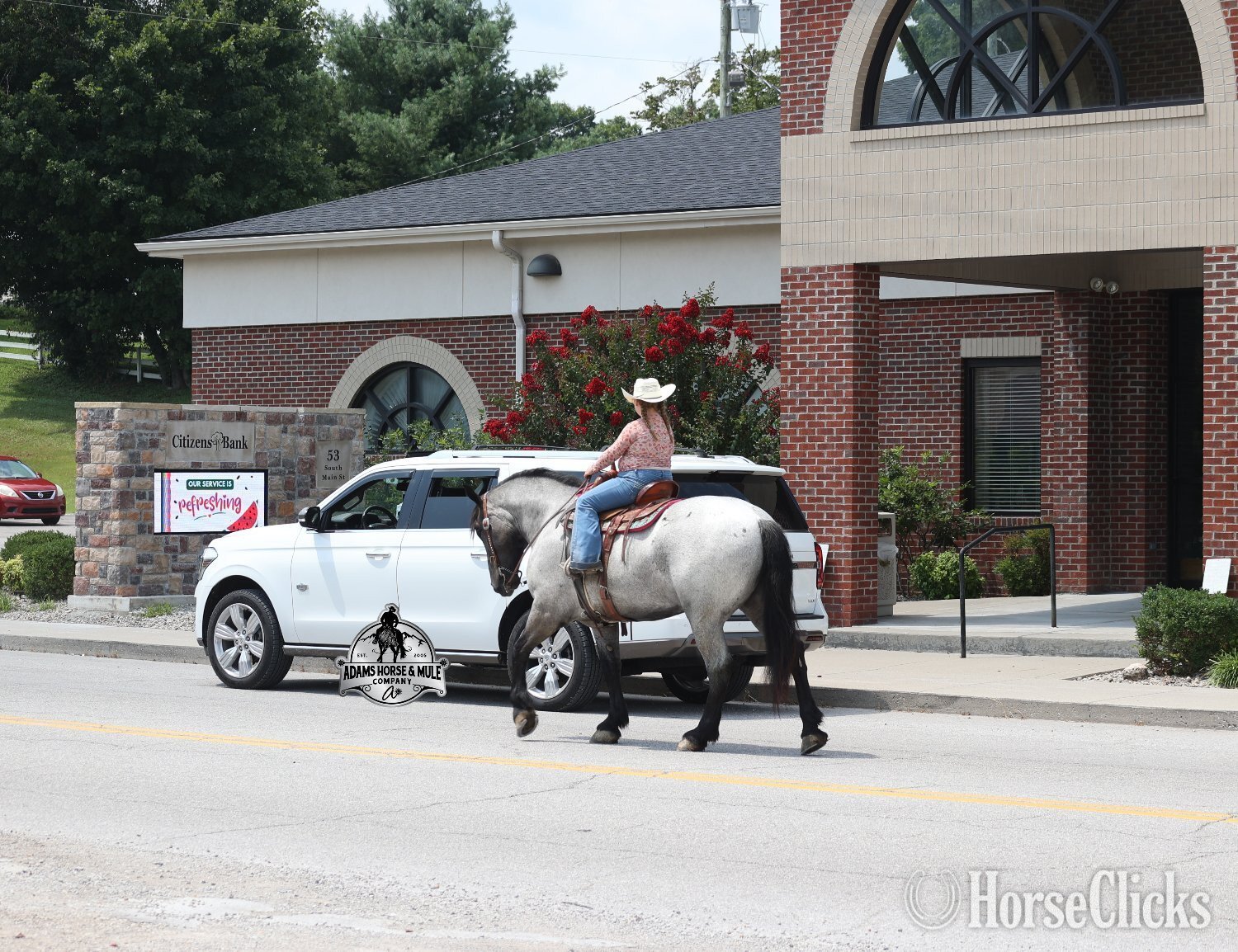 Kentucky "" Blue Roan Gelding Quarter Horse