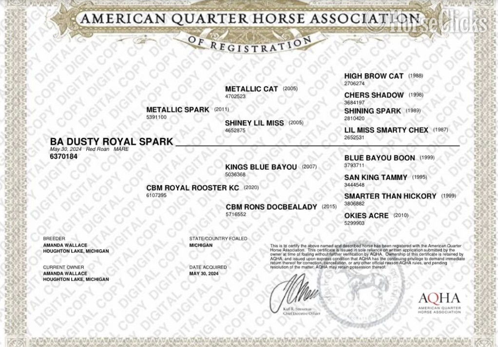 "GEMMA" Red Roan Mare Quarter Horse - Quarter Horse in Michigan
