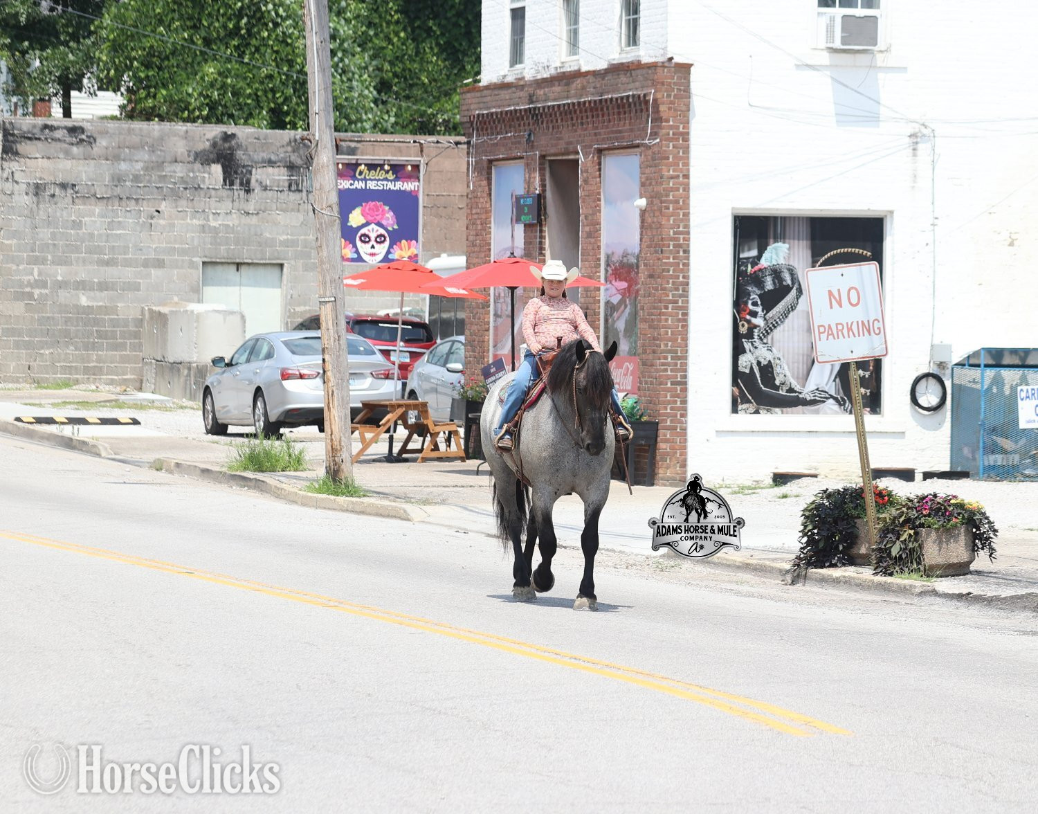 Draft - "" Blue Roan Gelding Draft in Kentucky