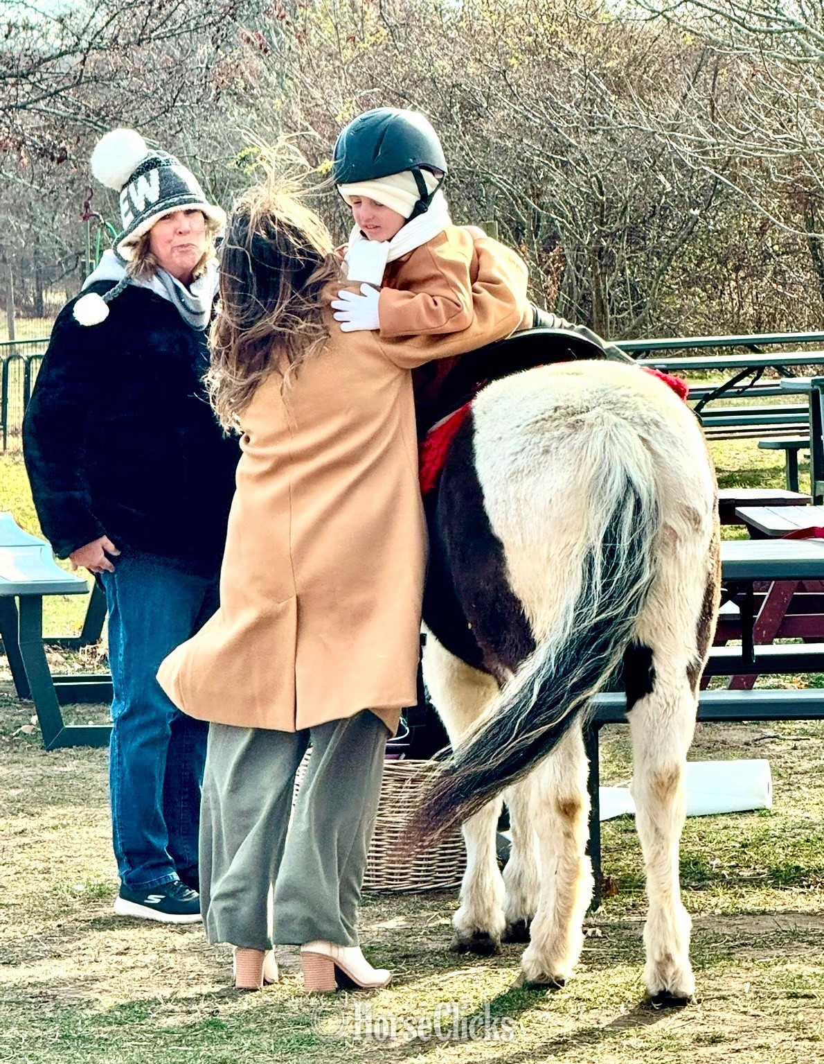"Hershey"  Gelding Pony New York