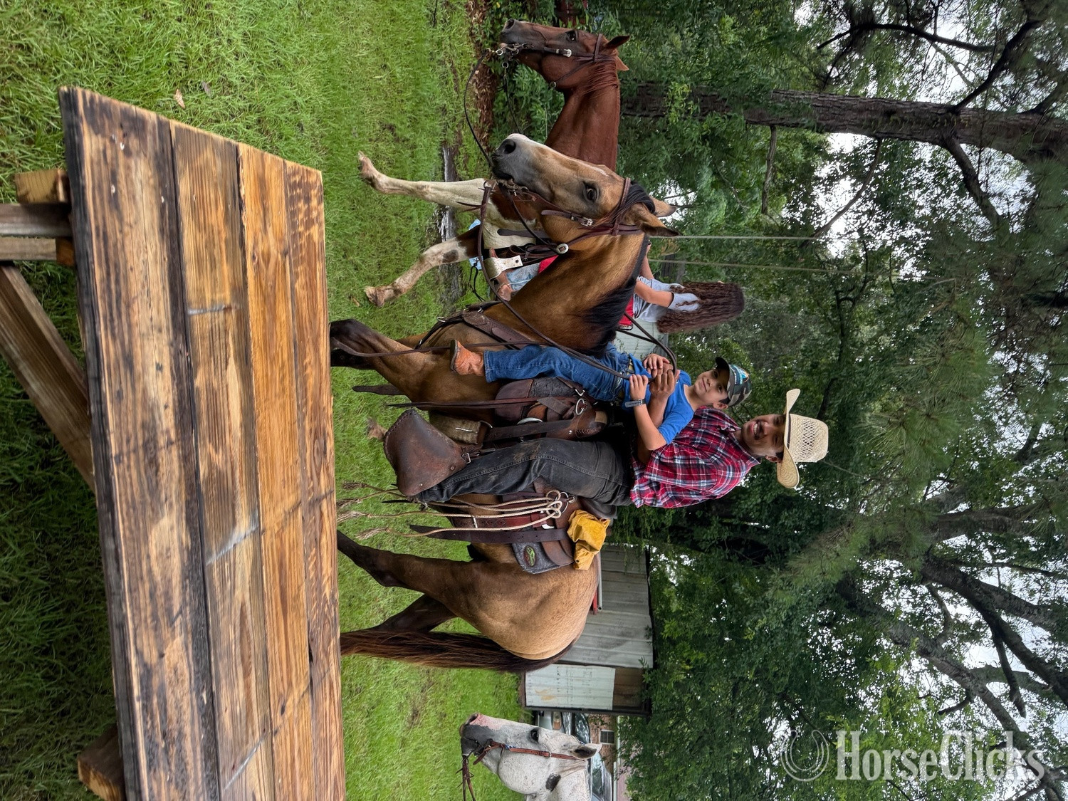 "Trapper John" Buckskin Gelding Quarter Horse - Quarter Horse in Texas