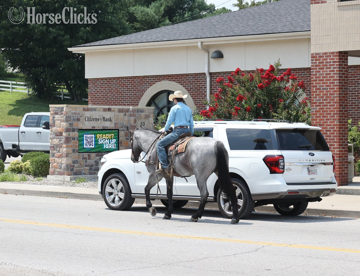 Quarter Horse - "" Blue Roan Gelding Quarter Horse in Kentucky