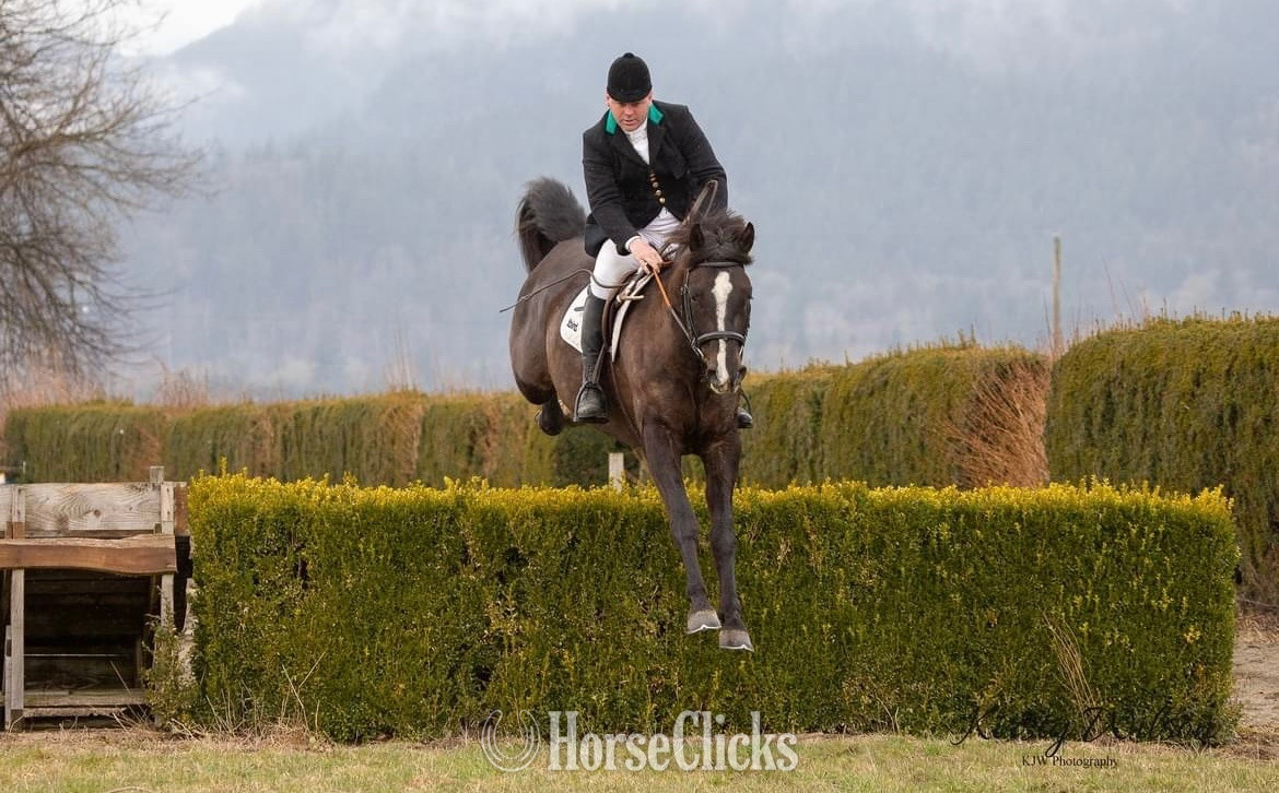 British Columbia "Gratitude " Black Gelding Warmblood