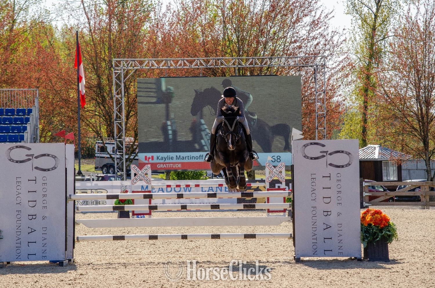 Warmblood - "Gratitude " Black Gelding Warmblood in British Columbia