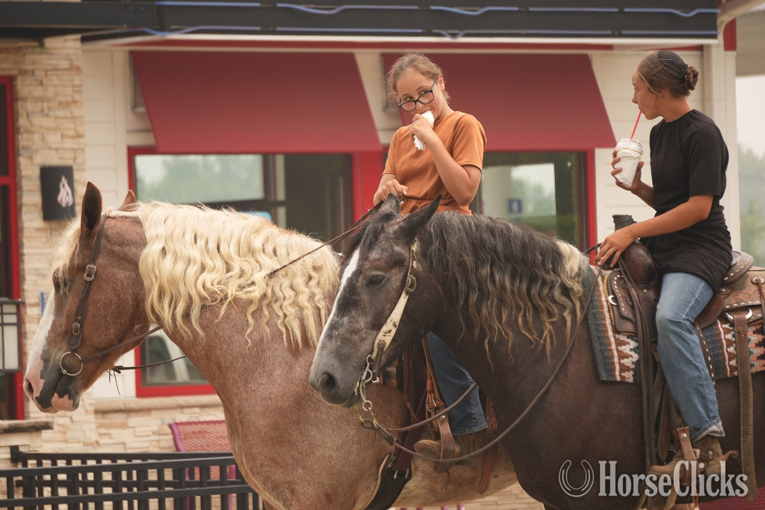 Draft - "Kingston " Roan Gelding Draft in Ohio