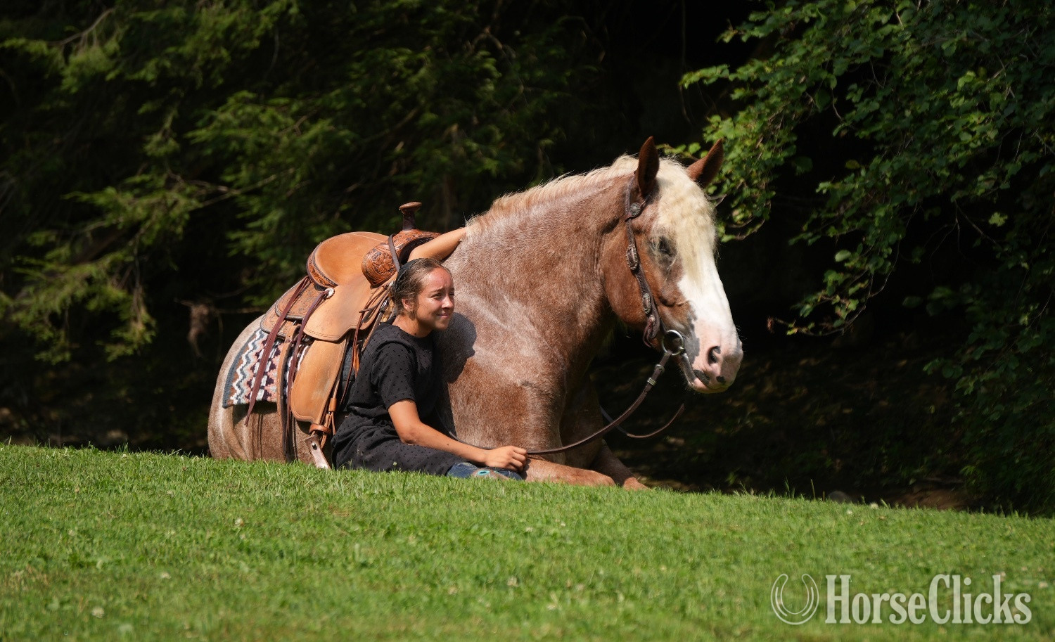 Draft - "Kingston " Roan Gelding Draft