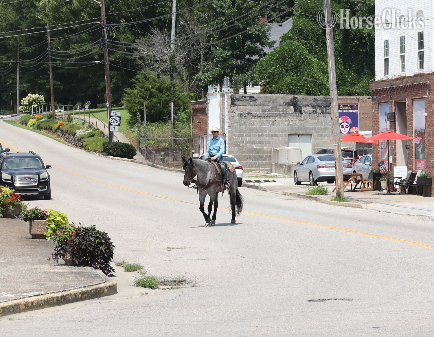 Draft - "" Blue Roan Gelding Draft in Kentucky