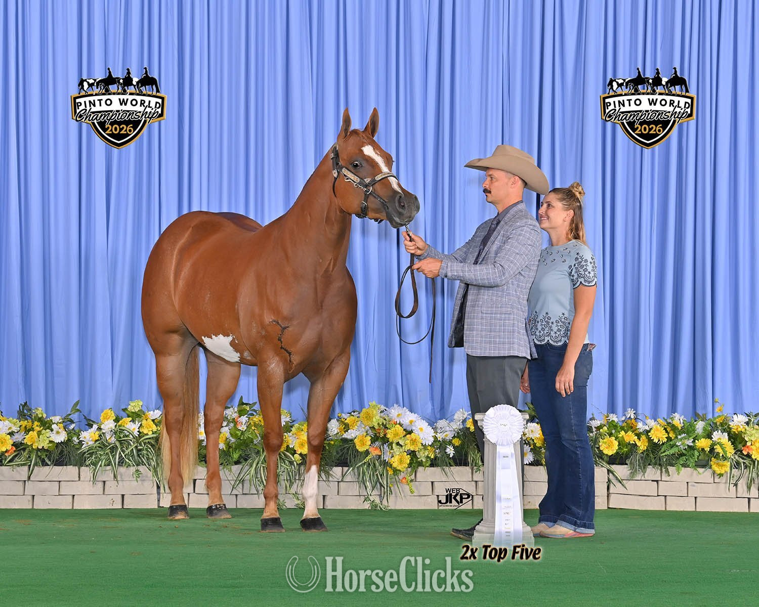 "CC Hey Fellas" Sorrel Mare Paint in Texas