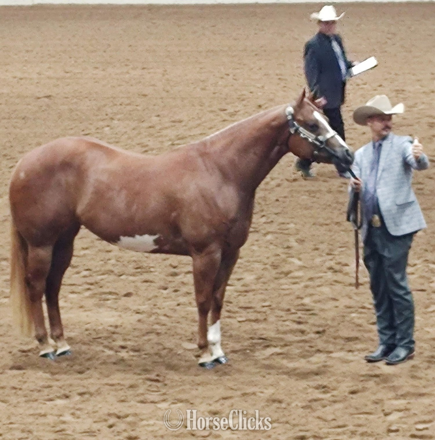 "CC Hey Fellas" Sorrel Mare Paint