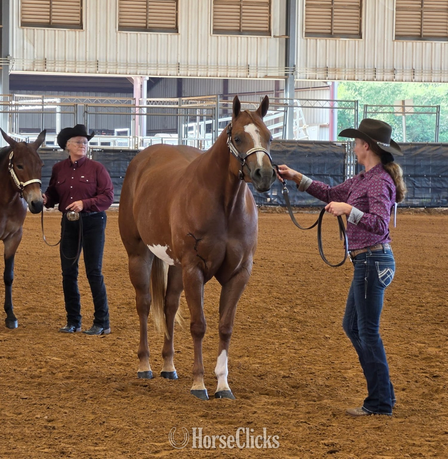 Texas "CC Hey Fellas" Sorrel Mare Paint