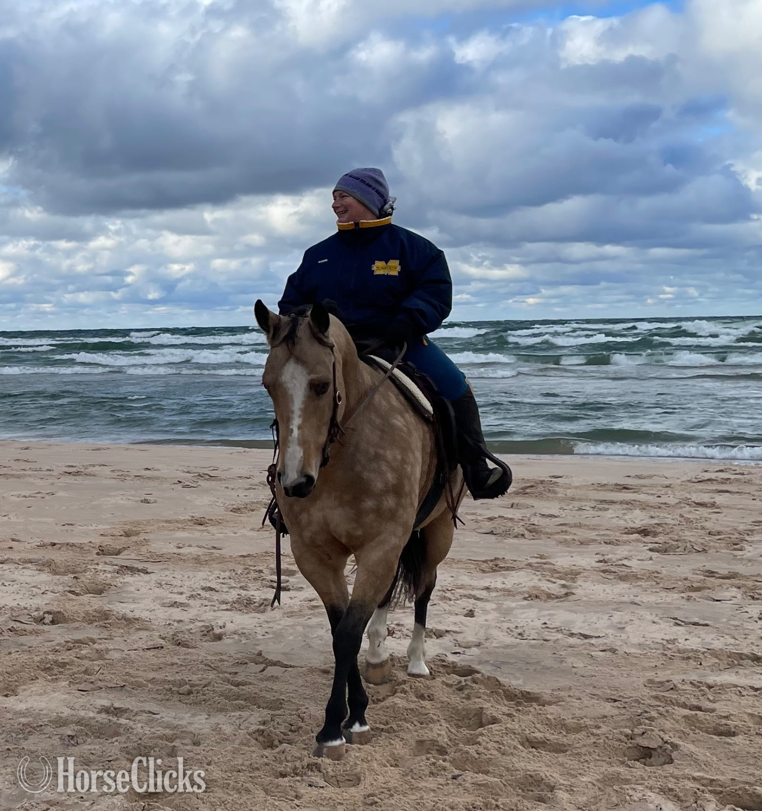 "SUDDENS TUPELO HONEY " Buckskin Mare Quarter Horse