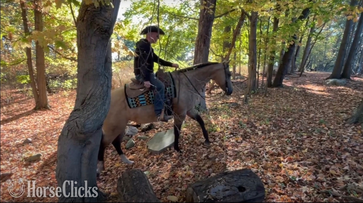 Michigan "SUDDENS TUPELO HONEY " Buckskin Mare Quarter Horse