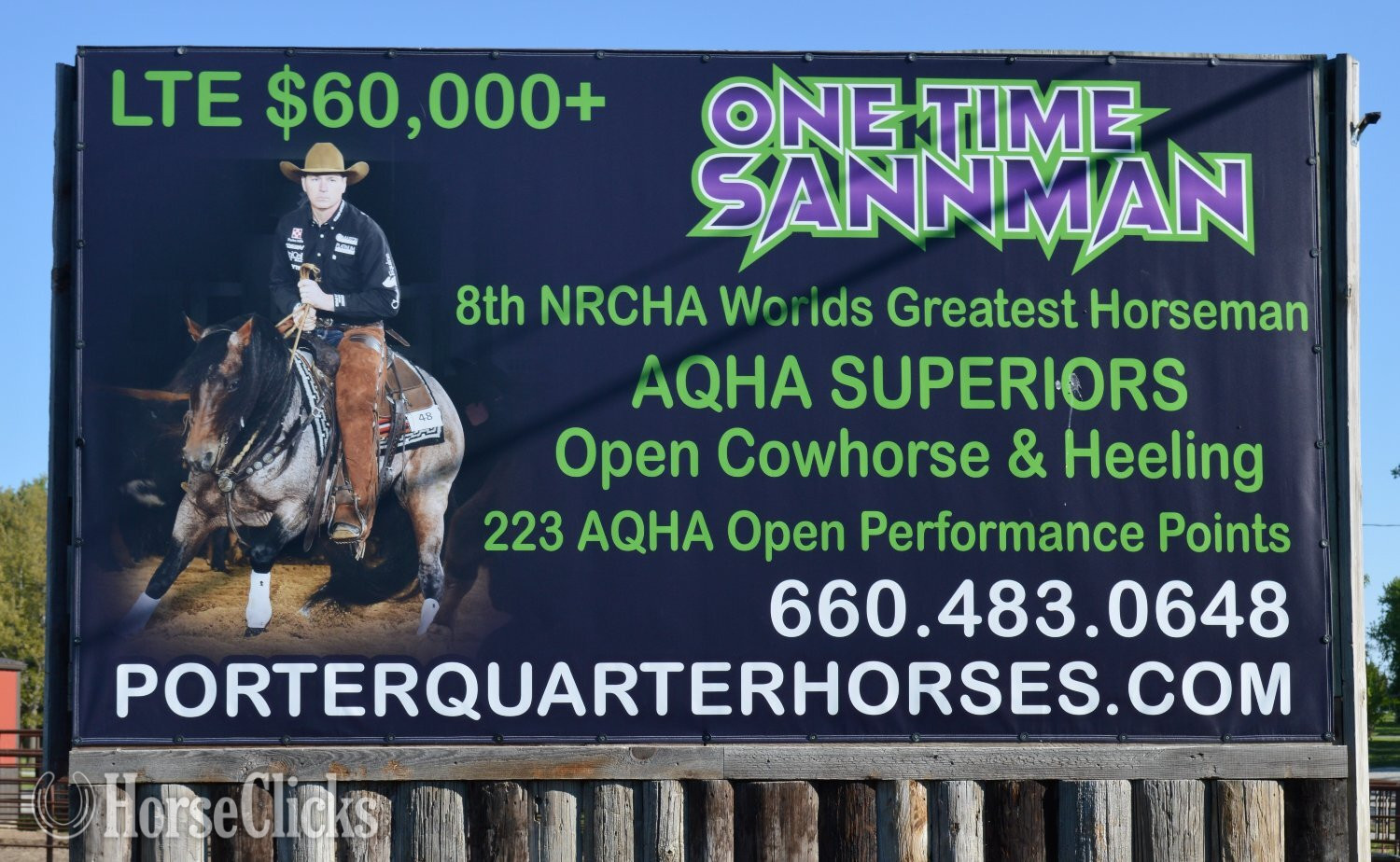 Quarter Horse - "Awesome Diamond Jac" Palomino Mare Quarter Horse in Missouri