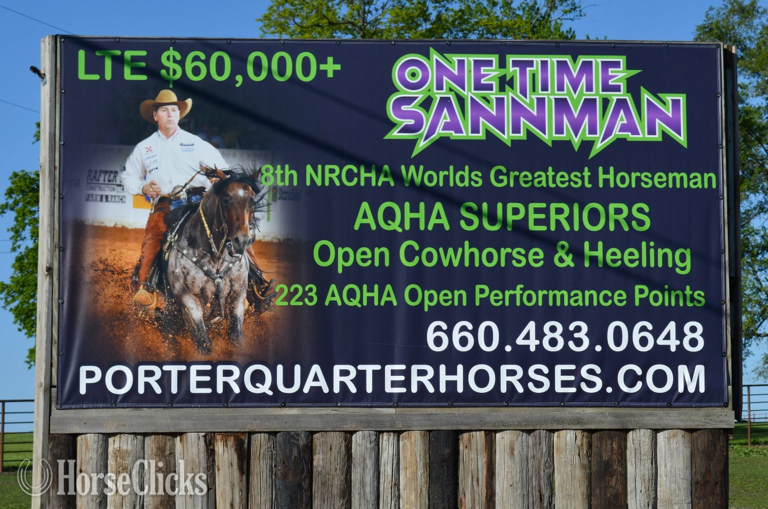 Quarter Horse - "Awesome Diamond Jac" Palomino Mare Quarter Horse