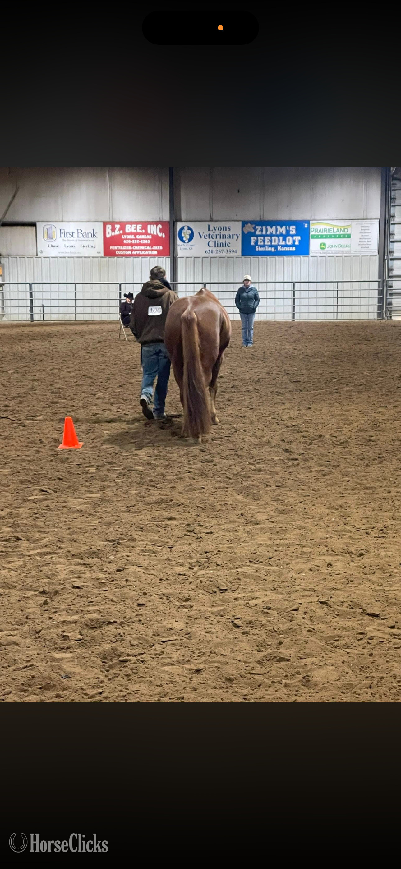 "Just empty every pocket " Sorrel Gelding Quarter Horse - Quarter Horse in Kansas