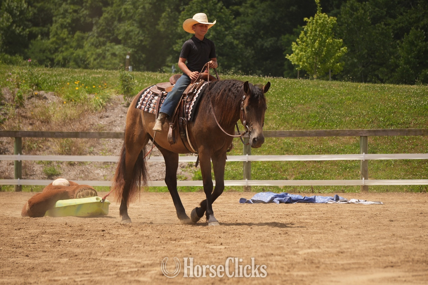 "Bandit" Buckskin Gelding Quarter Horse