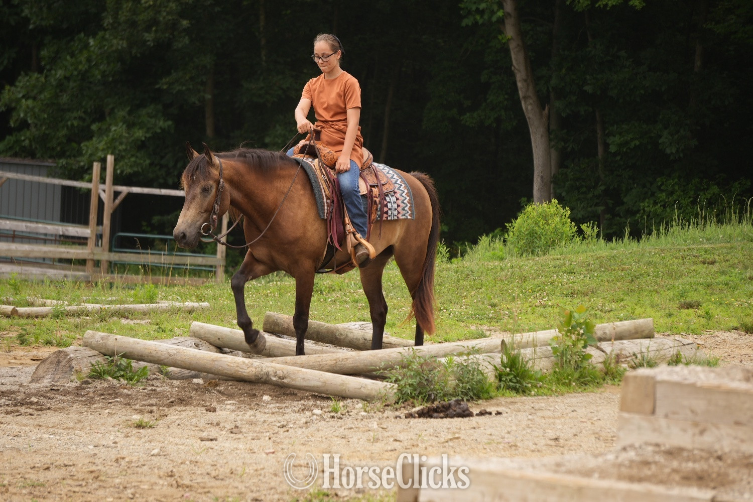 Ohio "Bandit" Buckskin Gelding Quarter Horse