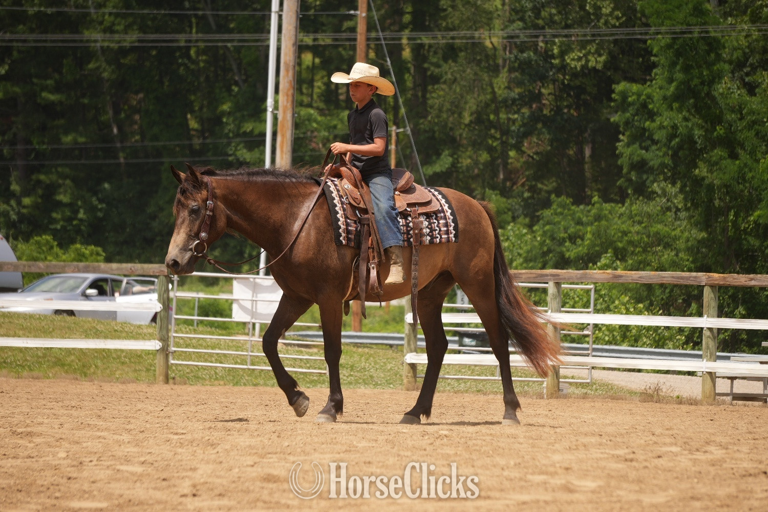 "Bandit" Buckskin Gelding Quarter Horse - Quarter Horse