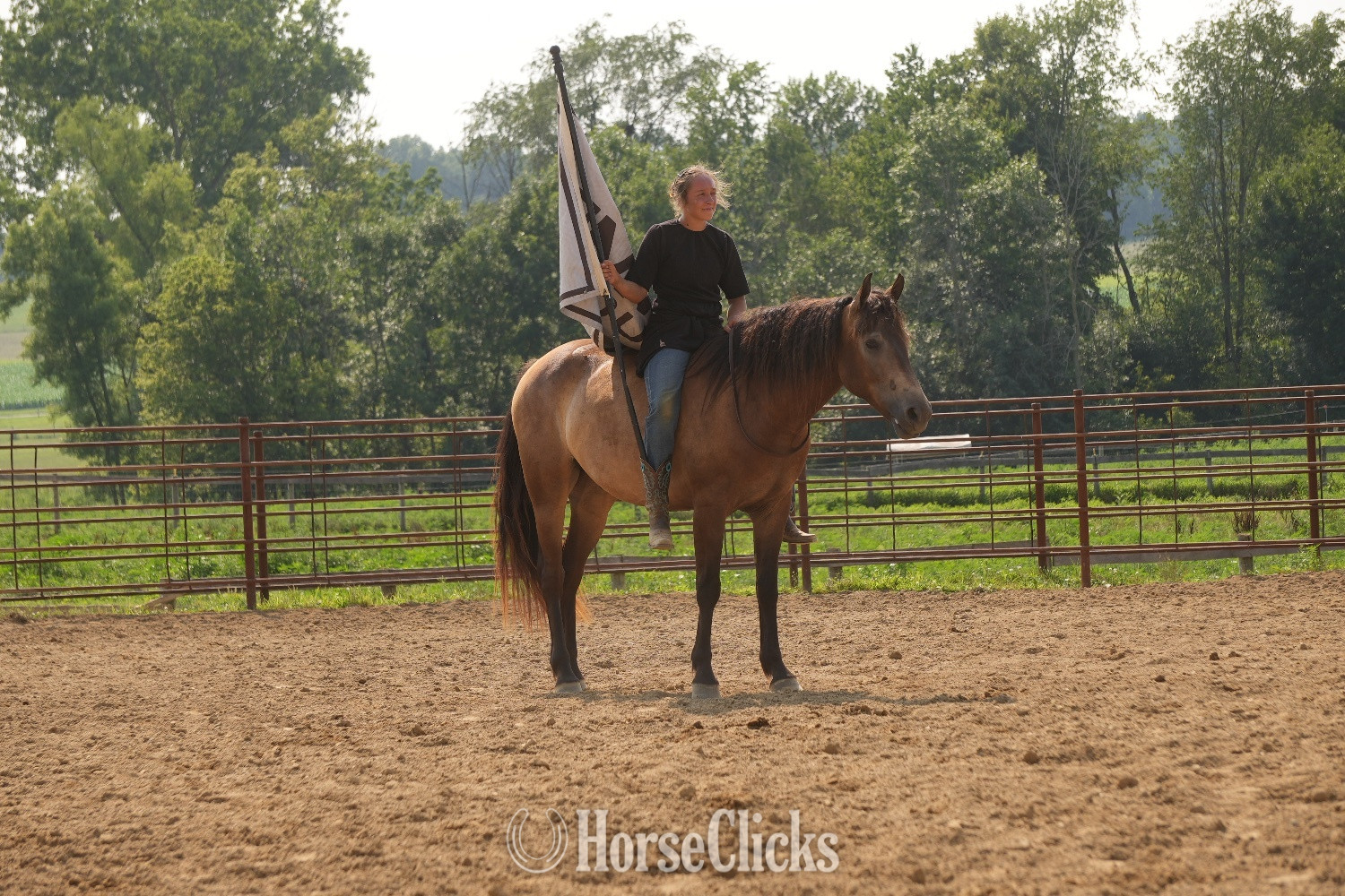 Quarter Horse - "Bandit" Buckskin Gelding Quarter Horse