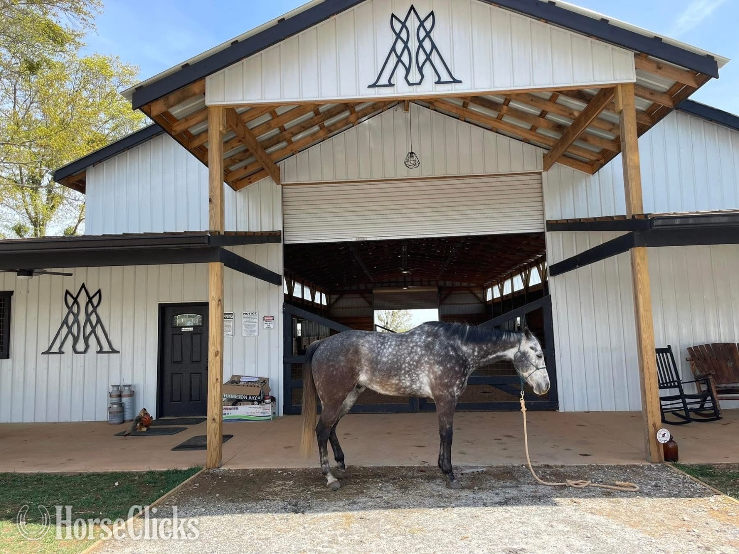 "Bolt" Silver Dapple Gelding Quarter Horse - Quarter Horse in Georgia