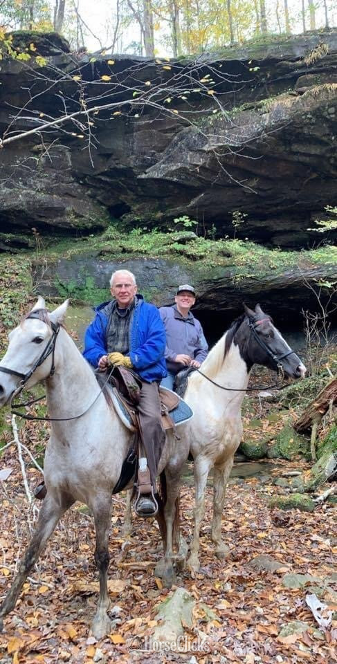 Alabama "HECTOR BERLIOZ  REG # Tabiano Gelding Tennessee Walker