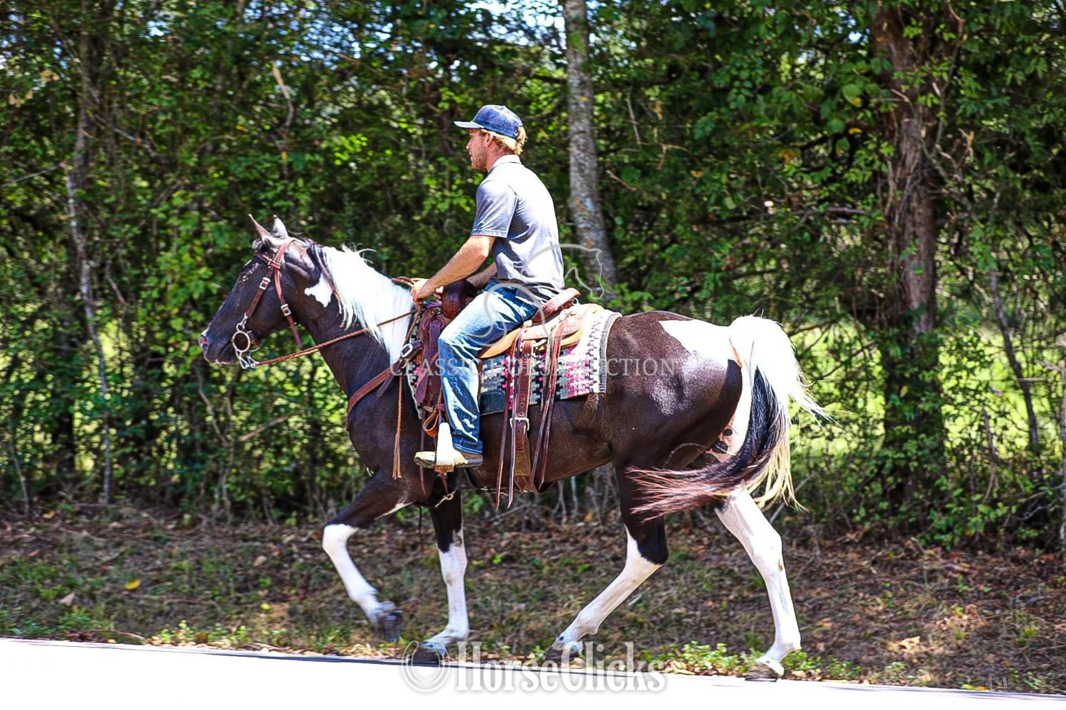 "DIAMOND BESSIE " Tabiano Gelding Tennessee Walker