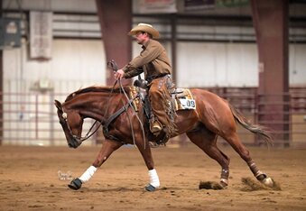 "Electric Pepto" Chestnut Gelding Quarter Horse