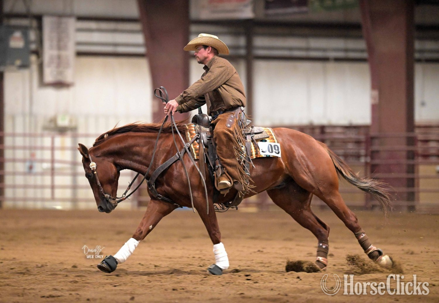 "Electric Pepto" Chestnut Gelding Quarter Horse in Illinois