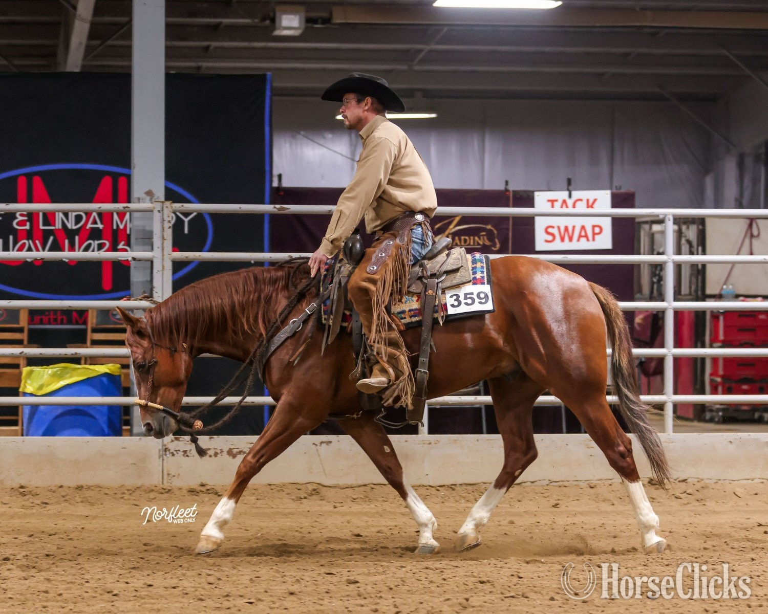 "Electric Pepto" Chestnut Gelding Quarter Horse