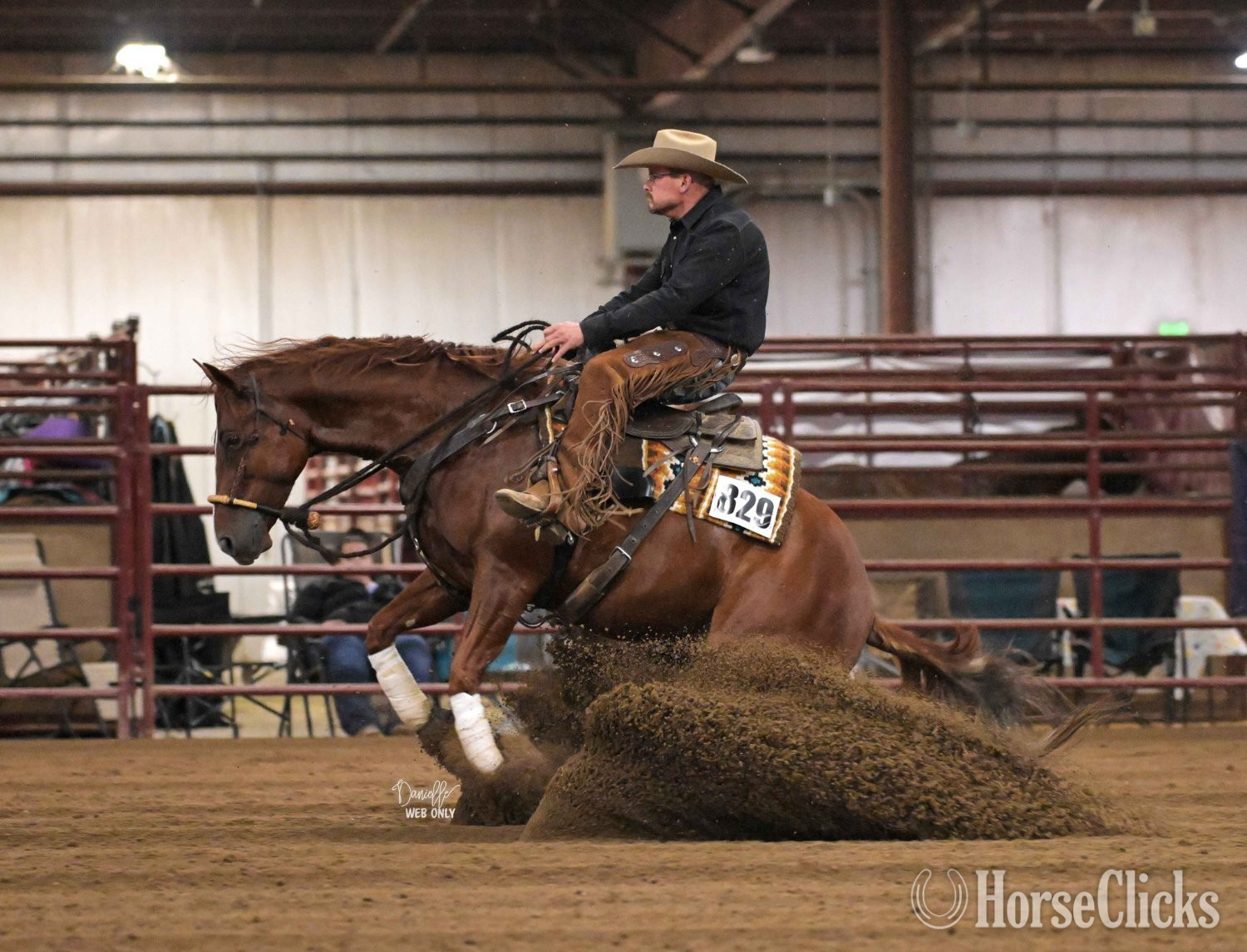 Illinois "Electric Pepto" Chestnut Gelding Quarter Horse