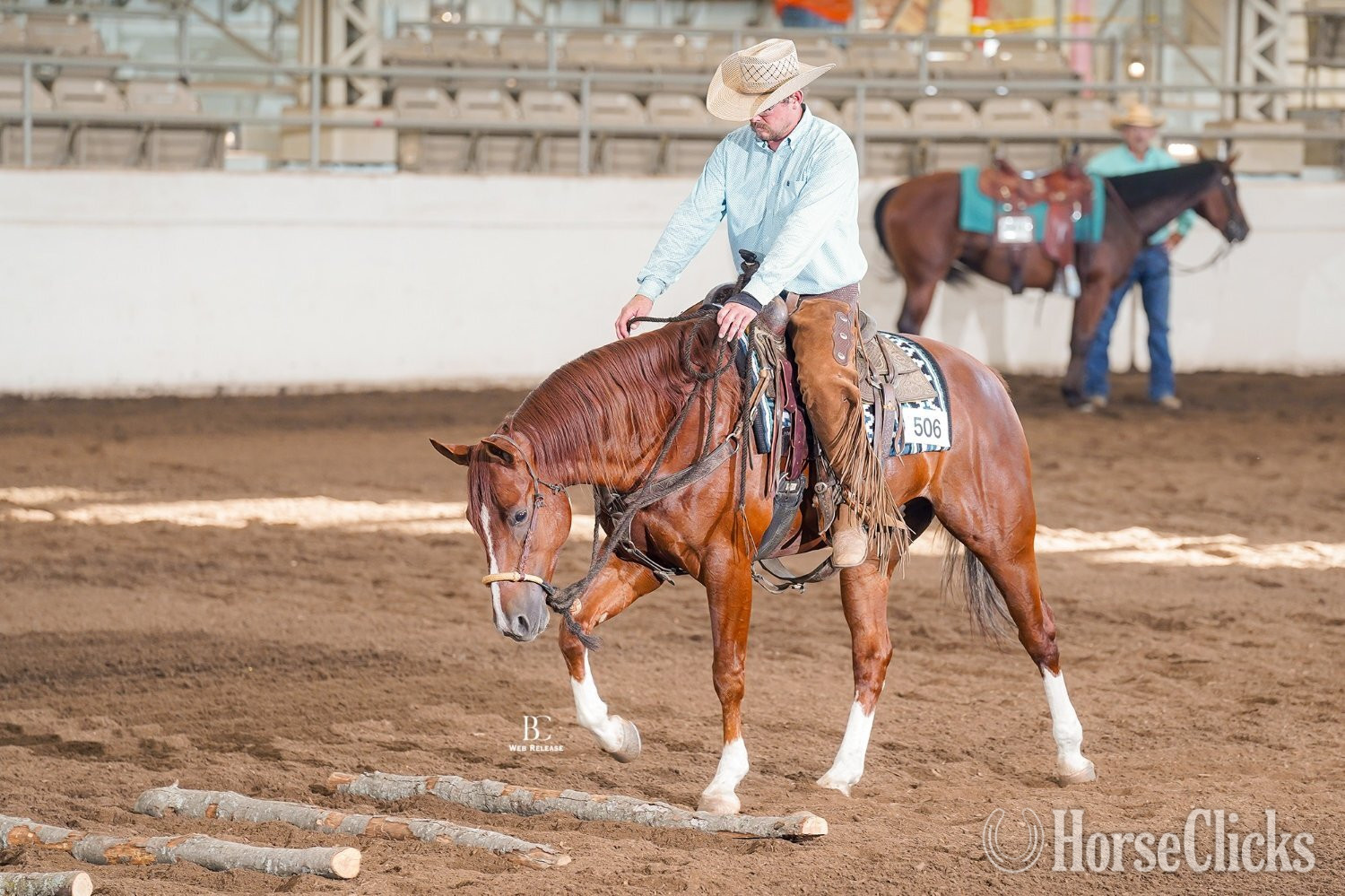 "Electric Pepto" Chestnut Gelding Quarter Horse - Quarter Horse in Illinois