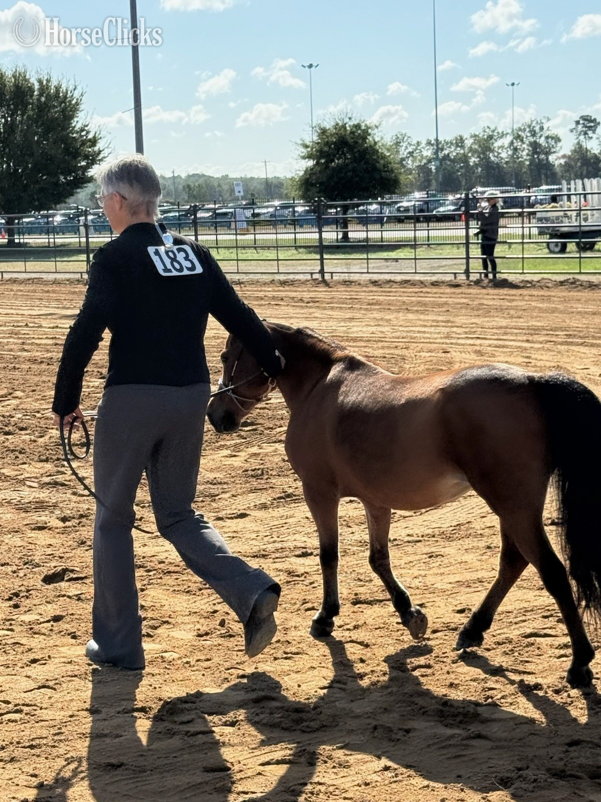 "Lil Annie" Bay Mare American Miniature in West Virginia