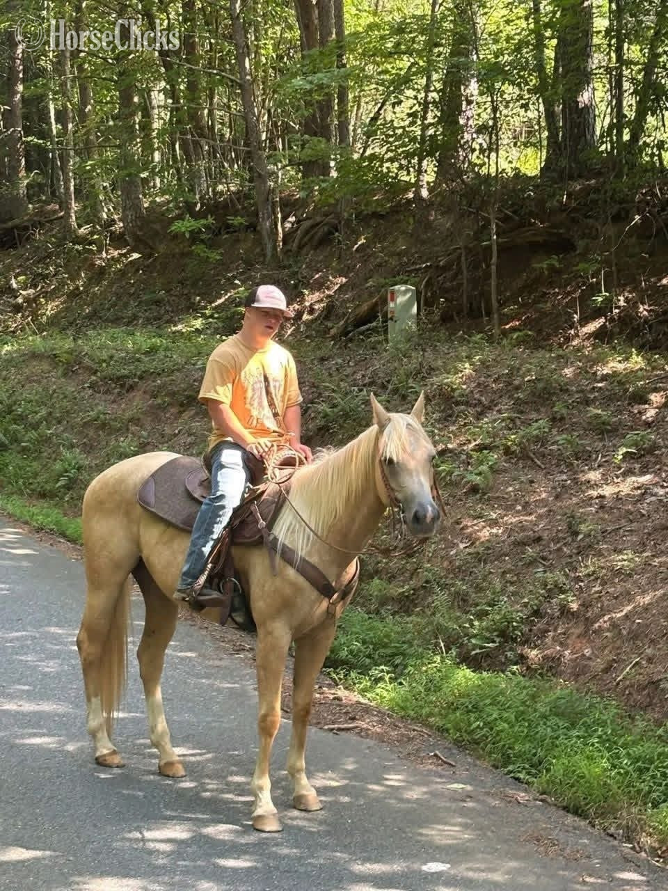 "Misty" Palomino Mare Quarter Pony