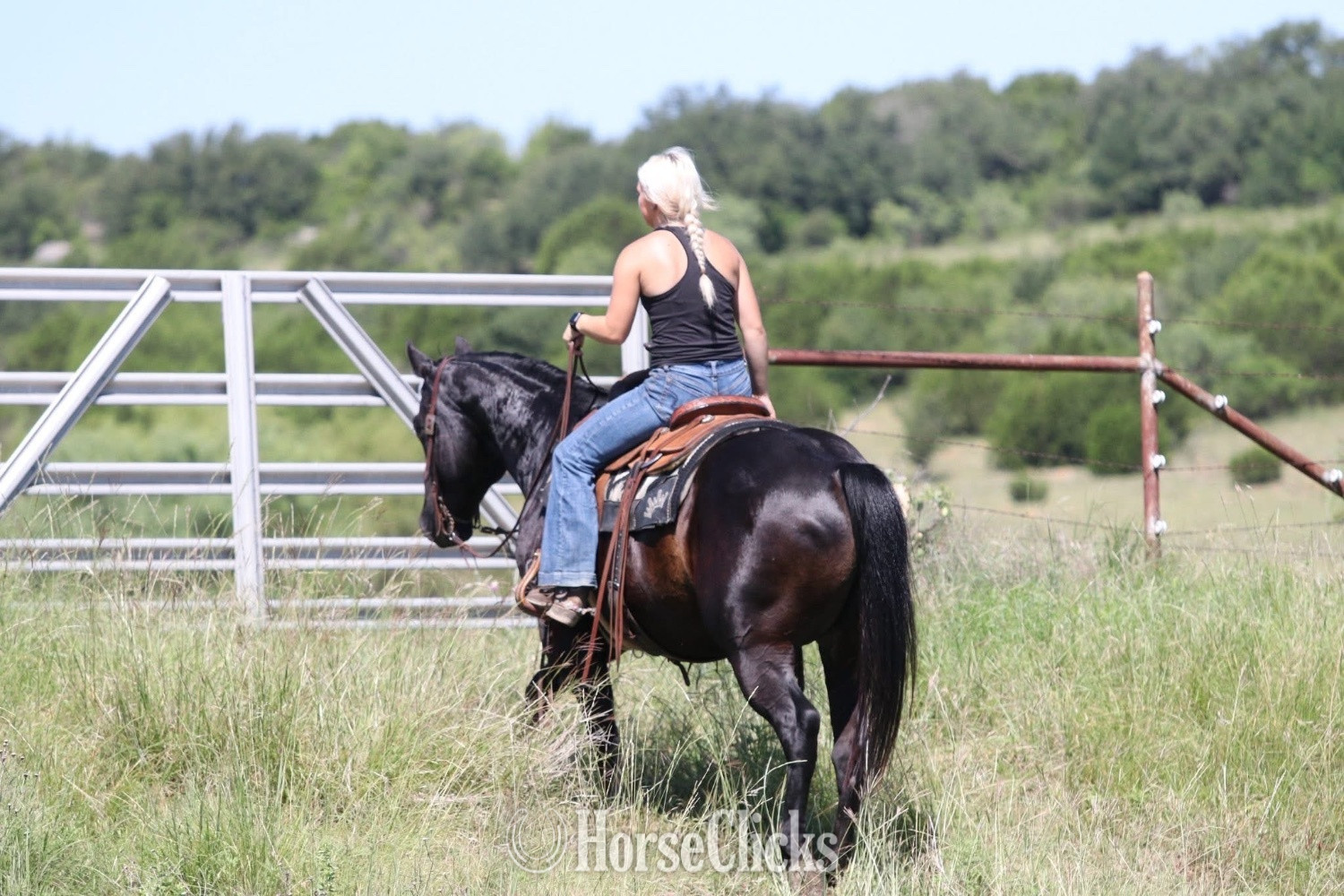 Quarter Horse - "Maverick" Black Gelding Quarter Horse in Missouri