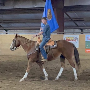 "John Wayne" Sorrel Gelding Pony