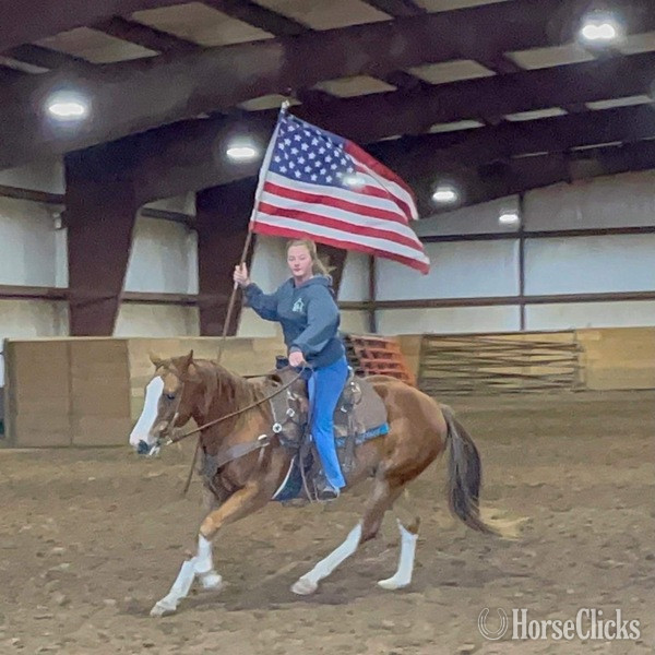 Texas "John Wayne" Sorrel Gelding Pony