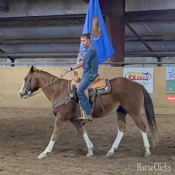 "John Wayne" Sorrel Gelding Pony in Texas