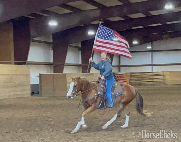 "John Wayne" Sorrel Gelding Pony - Pony