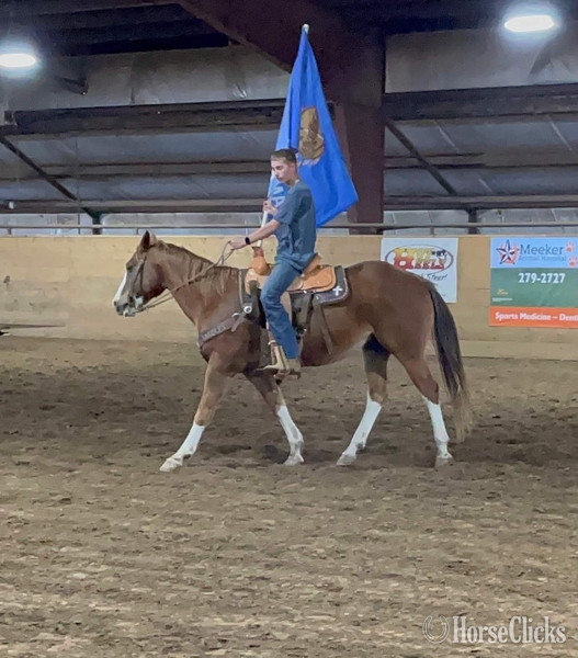 "John Wayne" Sorrel Gelding Pony Texas