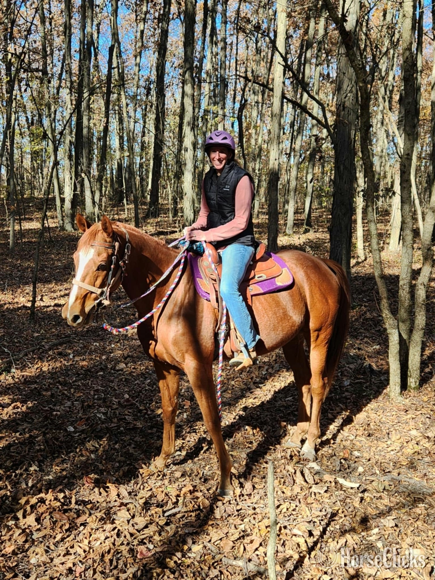 "Trappe the Wind" Chestnut Gelding Thoroughbred - Thoroughbred in Indiana