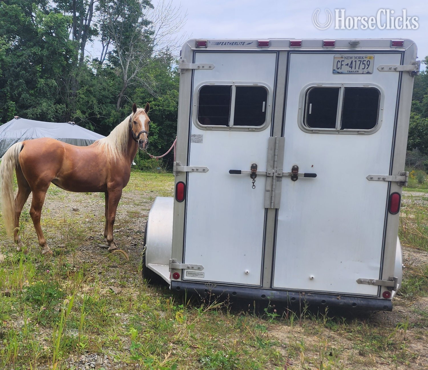 Horse Trailers - 1995 Featherlite Trailers  Bumper Pull Horse Trailer