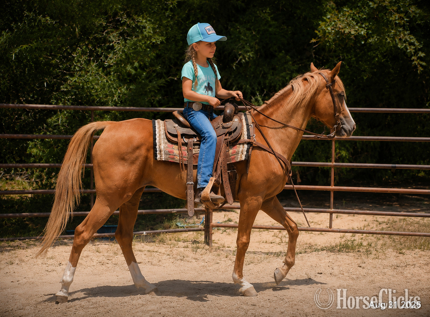 Texas "Blair • Gentle Beginner-Safe Trail Mare " Sorrel Mare Quarter Horse