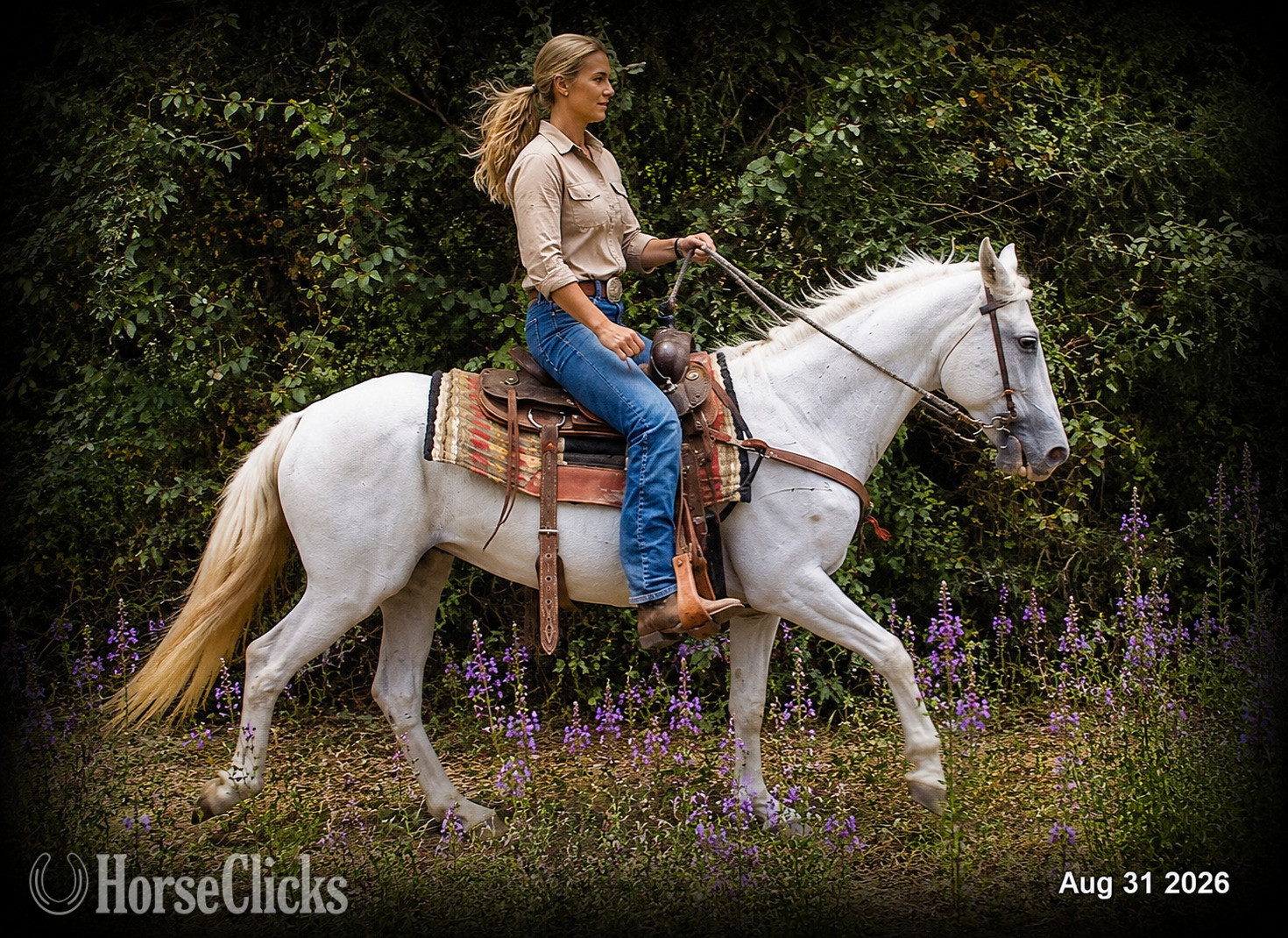 "❤️ Wisp • 17 Years of Experience & Still" Grey Mare Paso Fino