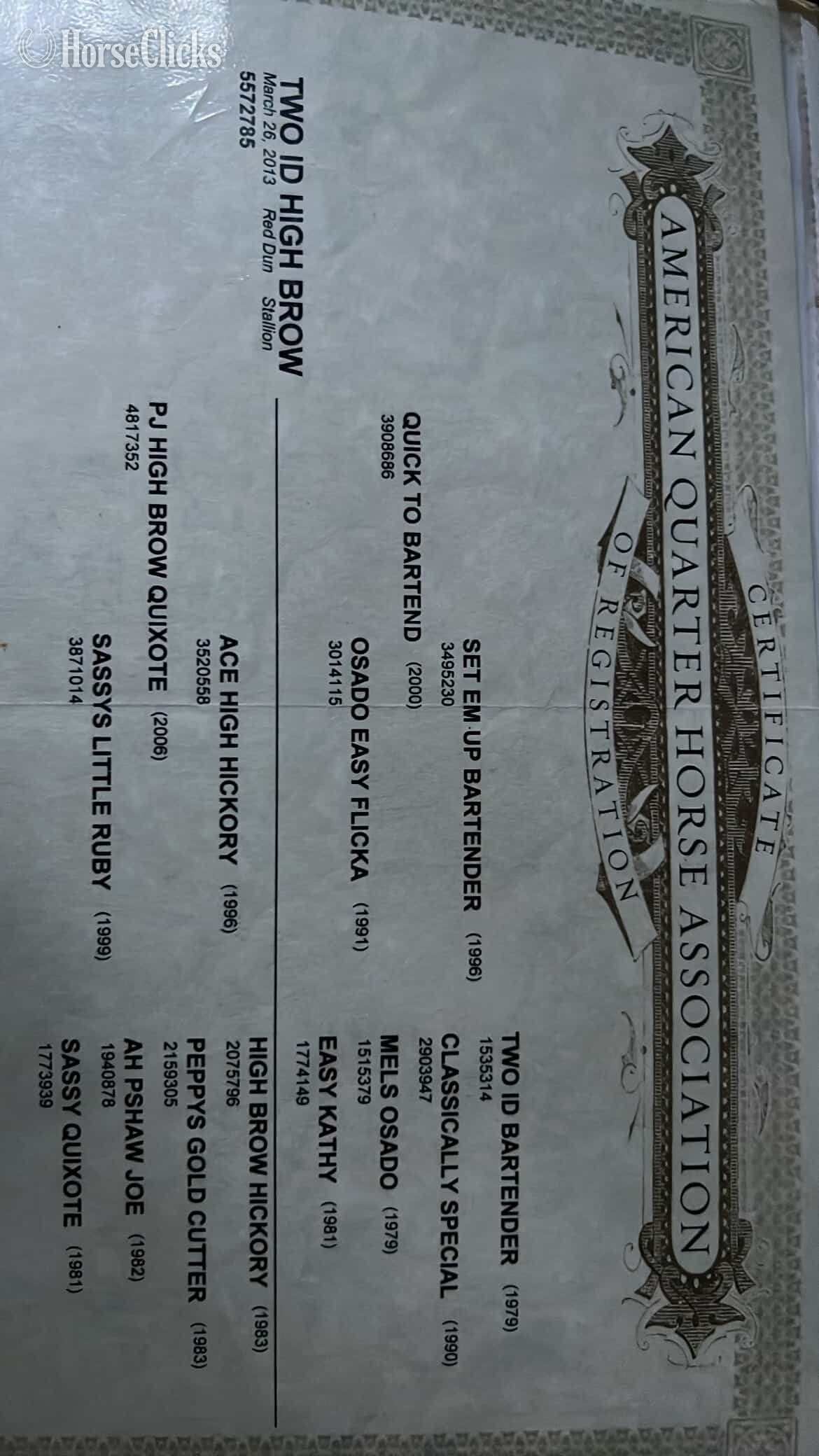 "Two ID" Dun Gelding Quarter Horse - Quarter Horse