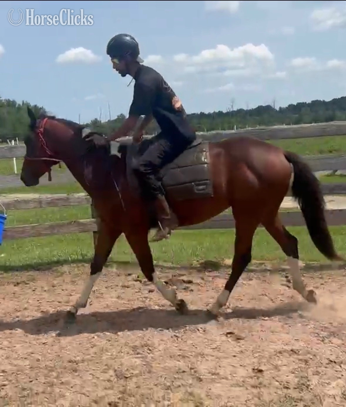 "Boots" Tabiano Colt Paint