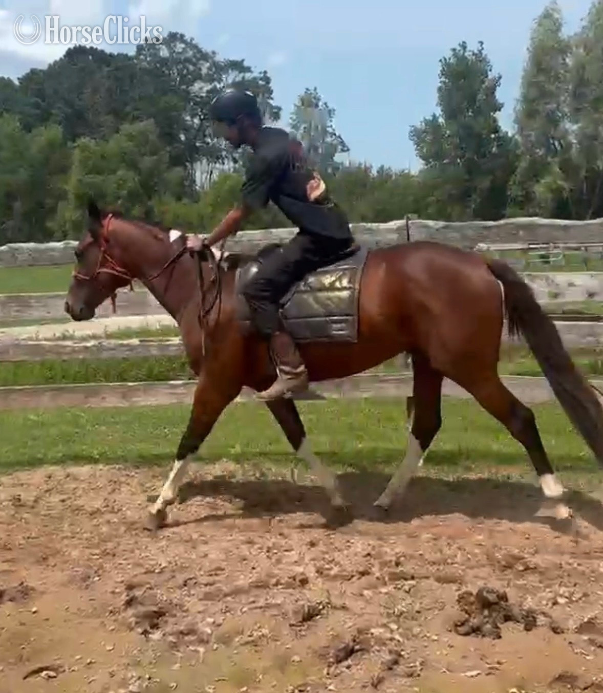 "Boots" Tabiano Colt Paint - Paint in 