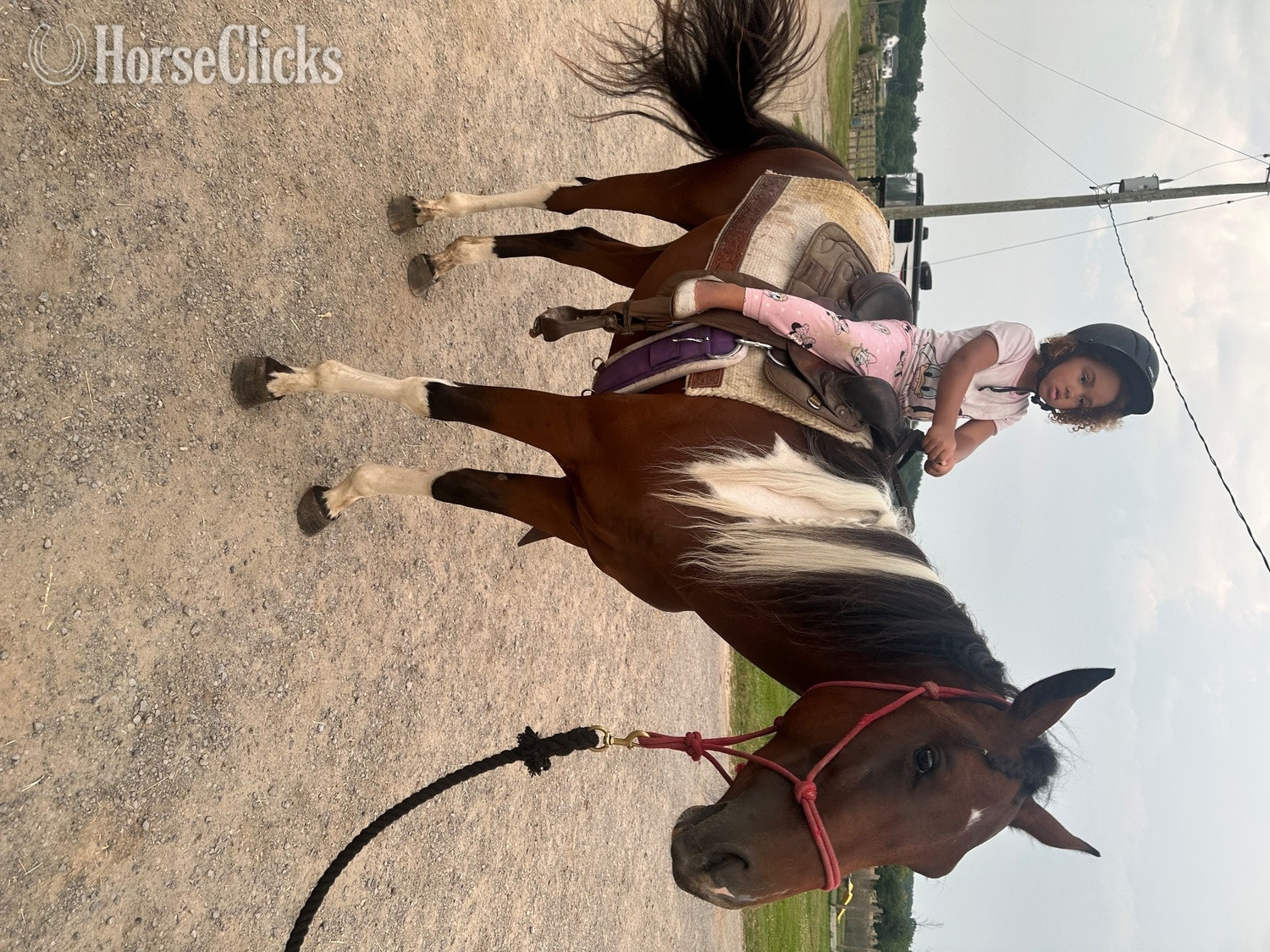 "Boots" Tabiano Colt Paint 