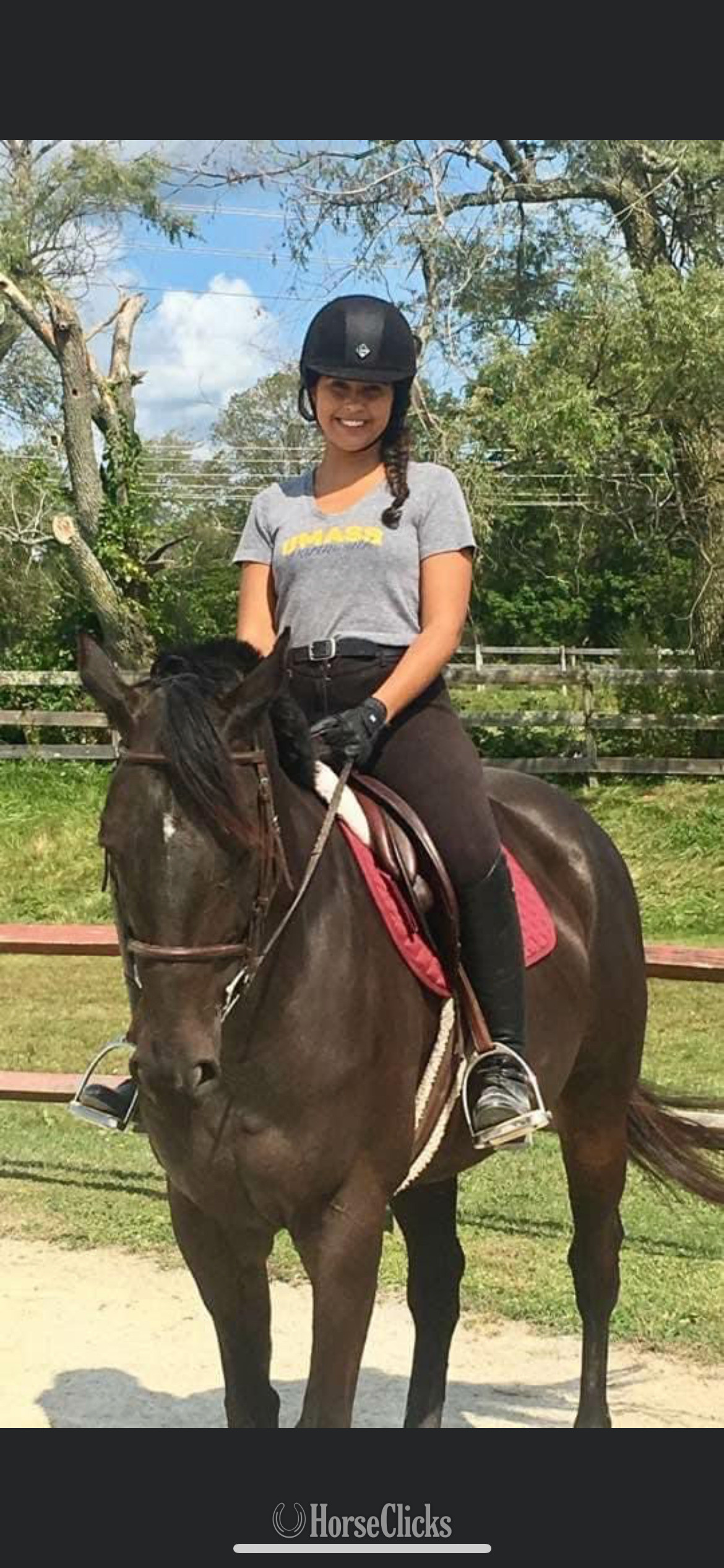 "Rosalie’s Dance "  Mare Thoroughbred