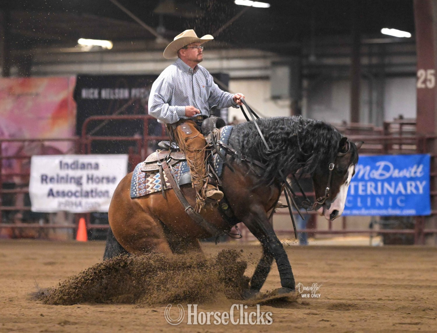 "Capones Gotta Gun" Bay Gelding Quarter Horse in Illinois